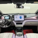 Usado 2024 BYD Dophin - Detalle 7