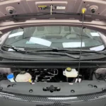 Usado 2024 BYD Dophin - Detalle 5
