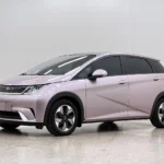 Usado 2024 BYD Dophin - Detalle 1