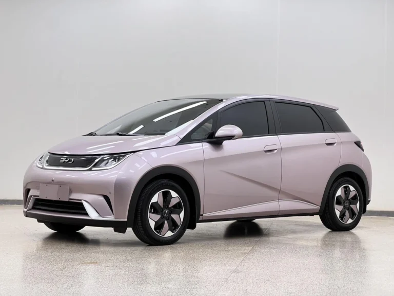Usado 2024 BYD Dophin