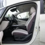 2026 Byd Dophin - Detalle 4