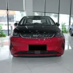 2026 Byd Dophin - Detalle 2