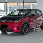 2026 Byd Dophin - Detalle 1