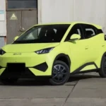2026 Byd Seagull - Detalle 1